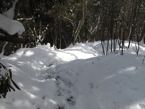 20140211hike (206)